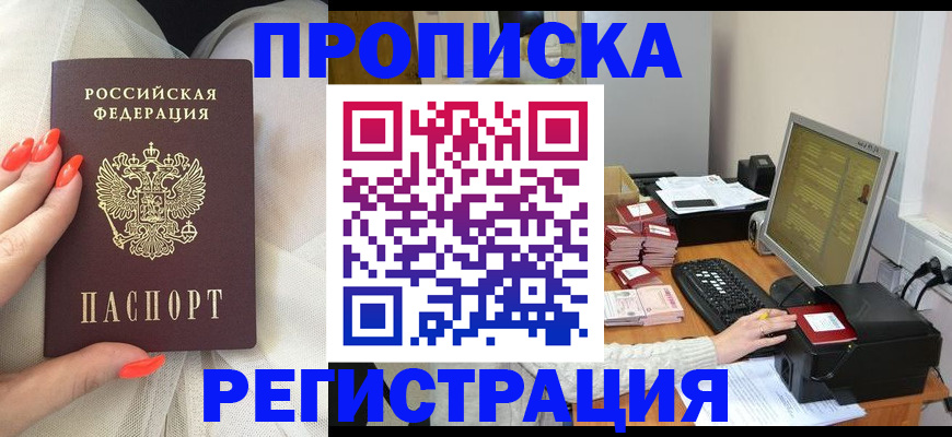 где прописаться в Шебекино
